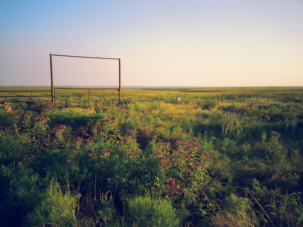 Raising quail in the midwest