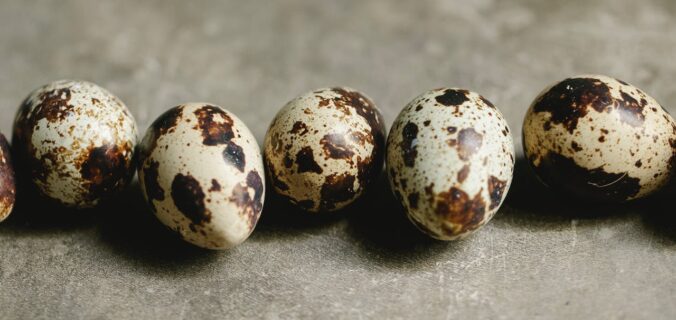 uncooked tasty quail eggs on table in daylight