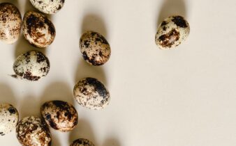 quail eggs on a flat surface