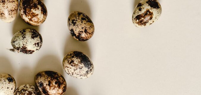 quail eggs on a flat surface