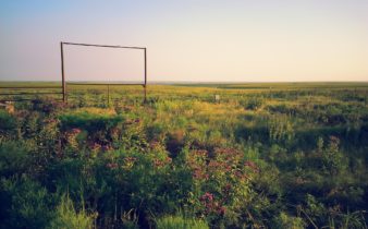 Raising quail in the midwest