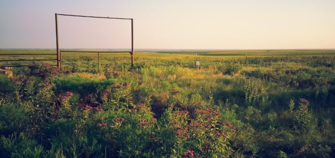 Raising quail in the midwest