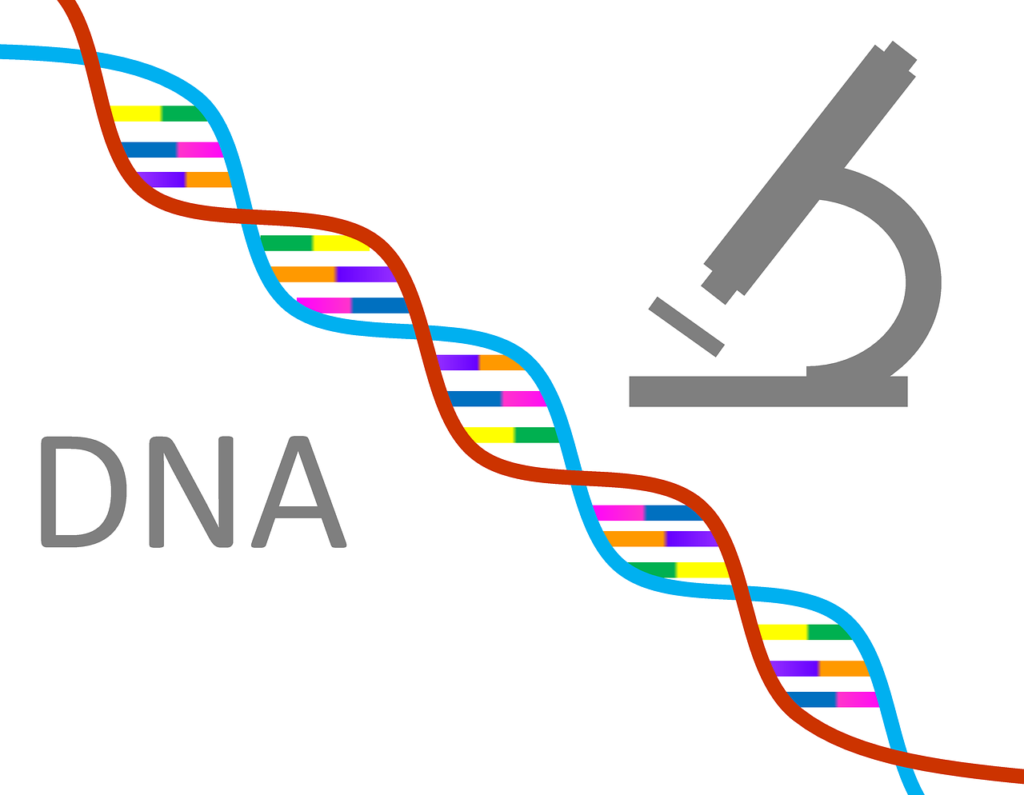 DNA Genetics - Clan Mating