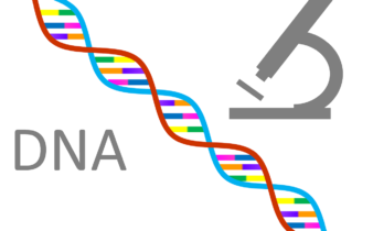 DNA Genetics - Clan Mating