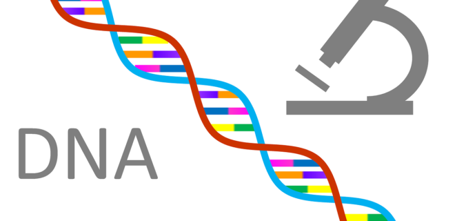 DNA Genetics - Clan Mating