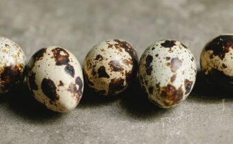 uncooked tasty quail eggs on table in daylight